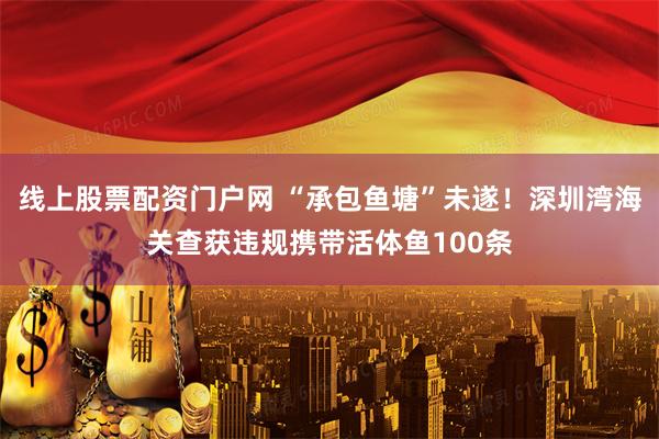 线上股票配资门户网 “承包鱼塘”未遂！深圳湾海关查获违规携带活体鱼100条