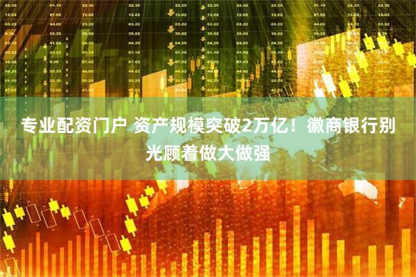 专业配资门户 资产规模突破2万亿！徽商银行别光顾着做大做强