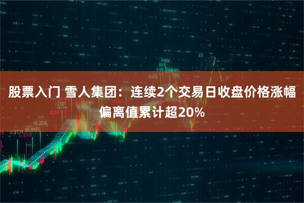 股票入门 雪人集团:连续2个交易日收盘价格涨幅偏离值累计超20%